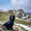 Cooper