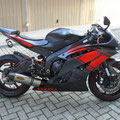 R6 06 ENGEL EYES