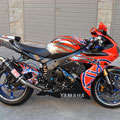 R6 SPECIAL EDITION 2