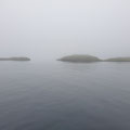 Dichter Nebel. Viel ist nicht zu sehen