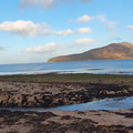 Blick auf Holy Isle