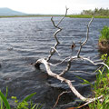 Auf dem Weg zum Western Brook Pond