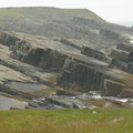 Klippen beim Mistaken Point