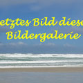 letztes Bild