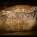 Panneau des chevaux ponctués (réalisé il y a 29.000 ans) - P. Cabrol © Centre de Préhistoire du Pech Merle (Cabrerets, Lot)
