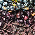 évolution du raisin en vinification