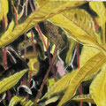 Herbst 6, 30x30 cm, Eitempera auf LW, 2022