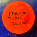 Friedensbegriffe Kunsthaus Frankenthal  2026 | Foto: Nicoleta Steffan