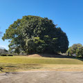 和水町　江田船山古墳
