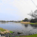 熊本市　上江津湖