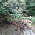 宇土市　轟水源