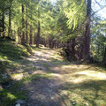 Taurista Trails