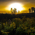 Bei Sonnenaufgang im Pfrungener Ried auf dem Bannwaldturm