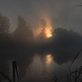 Sonnenaufgang mit Nebel im Pfrungerner Ried
