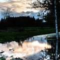 Sonnenaufgang  im Pfrungerner Ried