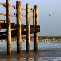 Böhler Strand