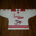2014/15 - Robin Palka - SchBL - Gameworn