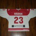 2015/16 - Lukas Ribarik - SchBL - Gameworn
