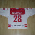2014/15 - Gleb Berezovskyy - DNL - Gameworn