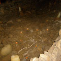 Des ossements : un reste de cadavre exquis, près des stalagmites.