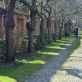 Französicher Garten in Celle