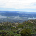 view from Mt. Wellington