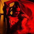 Flamenco en Vivo...   Parque Tivoli Benalmadena , Malaga