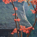 平林寺のお堂と紅葉