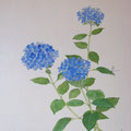 “紫陽花”　部分（襖絵、個人宅）　糸とんぼが見えます