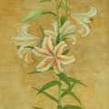 山百合　