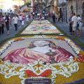 Inizio infiorata artistica