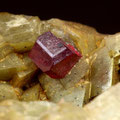 Cinnabar, 4 mm crystal, Erzberg, Eisenerz, Styria