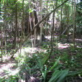 Part of the Property / Teil des Grundstücks