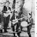The Hurricane Strings in het Kralingse Bos