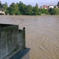 Rheinfelden: Der Rhein führt Hochwasse