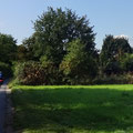 Vor Rüdesheim (mit Blick auf das Niederwalddenkmal rechts)