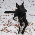 Fee, Birgit und Jörgs Schatz