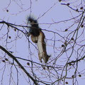 2 In ca. 15 m  Höhe