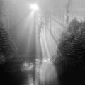 Nebel