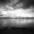 Wasser