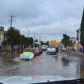 Im Hochland von Mexico, Überschwemmungen stören hier keinen.