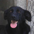 Jenny