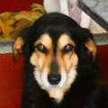 Tilly