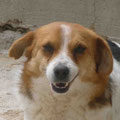 Ilmi