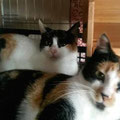 Silly und Sally