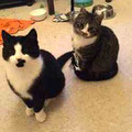 Silvester und Akim
