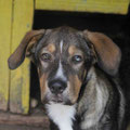 Porter