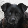 Theda