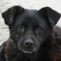 Theda
