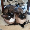 Henry und Lissy